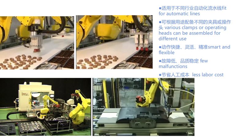食品自动化设备维护保养，保障生产效率的关键步骤